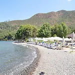 Anerissa 3*